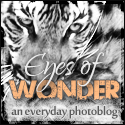 Eyes of Wonder